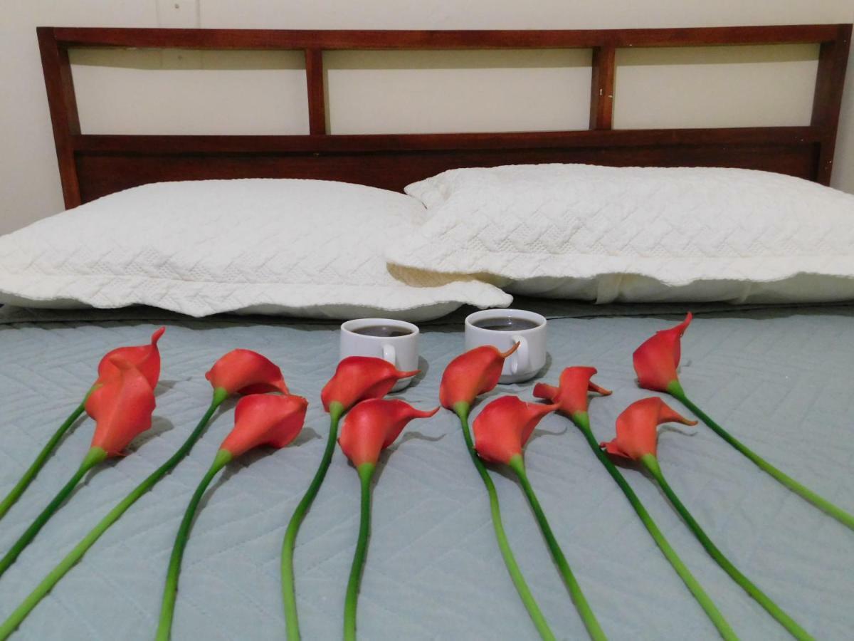 Hotel Meson De Maria Antiguo Cuscatlán Екстериор снимка